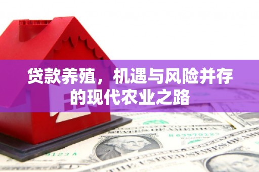 晋中贷款养殖，机遇与风险并存的现代农业之路