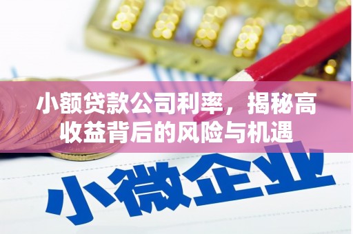 晋中小额贷款公司利率，揭秘高收益背后的风险与机遇