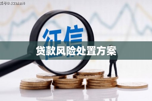 晋中贷款风险处置方案