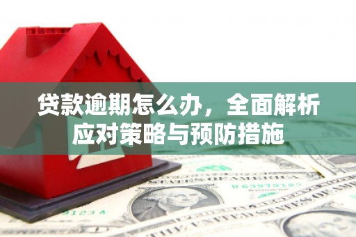 晋中贷款逾期怎么办，全面解析应对策略与预防措施