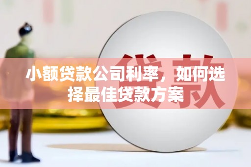 晋中小额贷款公司利率，如何选择最佳贷款方案