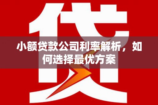晋中小额贷款公司利率解析，如何选择最优方案