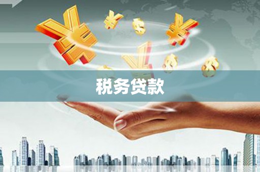 晋中税务贷款