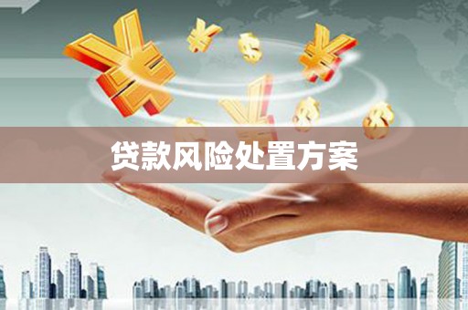 晋中贷款风险处置方案