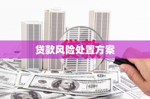 晋中贷款风险处置方案