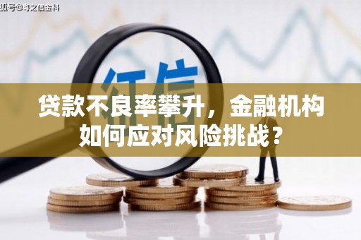 晋中贷款不良率攀升，金融机构如何应对风险挑战？