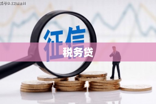 晋中税务贷