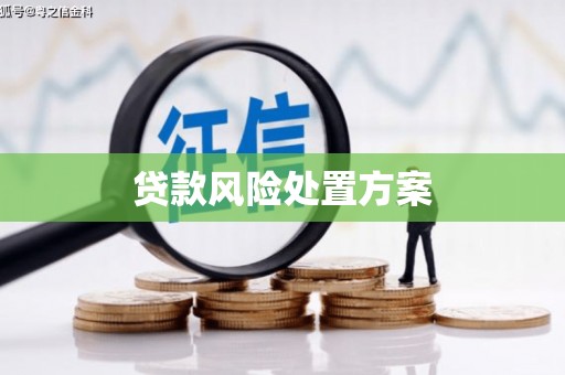 晋中贷款风险处置方案