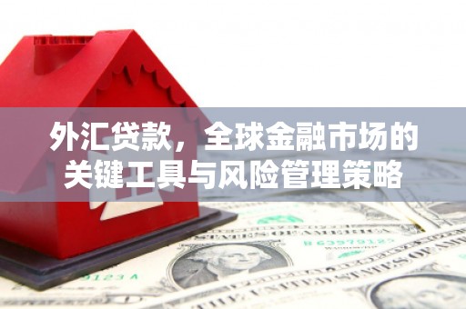 晋中外汇贷款，全球金融市场的关键工具与风险管理策略