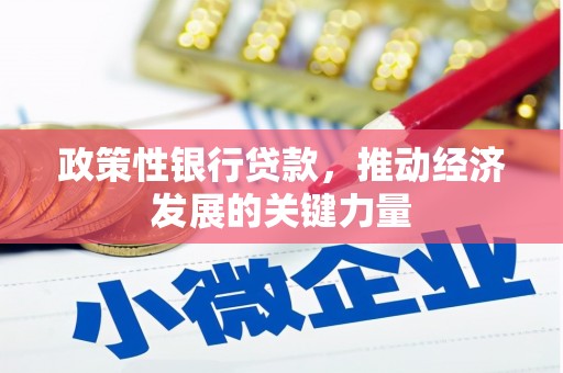 晋中政策性银行贷款，推动经济发展的关键力量