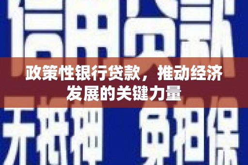 晋中政策性银行贷款，推动经济发展的关键力量