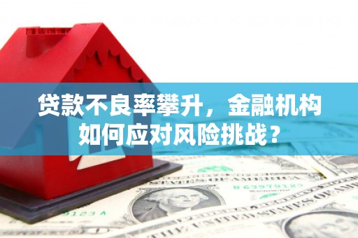 晋中贷款不良率攀升，金融机构如何应对风险挑战？